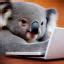 acidicoala/Koalageddon2 v2.0.1 on GitHub .